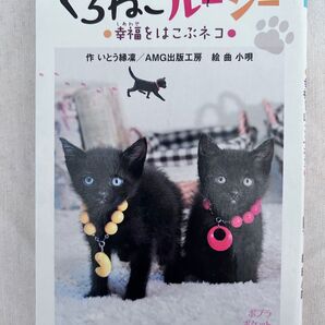 読書感想文、朝の読書におすすめ!!低学年〜中学生向け!くろねこルーシー/幸福をはこぶネコ/ポプラポケット文庫/ポプラ社