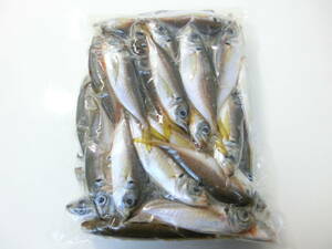 数量限定商品！ 徳島県産 小あじ 業務用 1㎏入りです 釣り餌にもオススメです 品質の良い真鯵 
