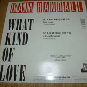  12” DIANA RANDALL // WHAT KIND OF LOVE の画像3