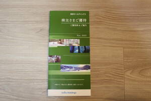 西武ホールディングス株主優待券（有効期限2024年5月31日・300～500株所有者向け）1冊