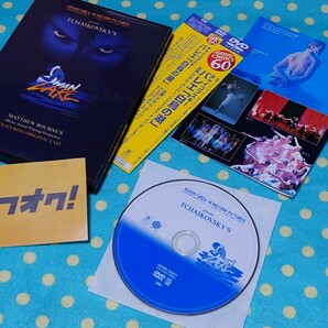 アダム・クーパーのSWAN LAKE◎男だらけの迫力ある白鳥の湖◎全幕収録バレエDVD◎アドヴェンチャーズインモーションピクチャーズ◎送料無料