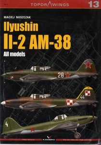 KAGERO　TOPDRAWING Ilyushin Il-2 AM-38