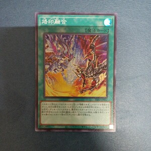 遊戯王 トレカ SR TCG デュエルモンスターズ 烙印 融合 ドラグマ 教導 必須カード②