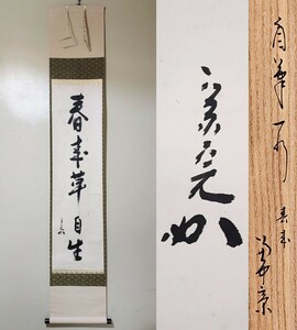 ≪茶掛≫ 表千家 【堀内宗完 (兼中斎)】 自筆一行書 『春来草自生』 紙本 桐共箱 真筆保証 掛軸 墨蹟