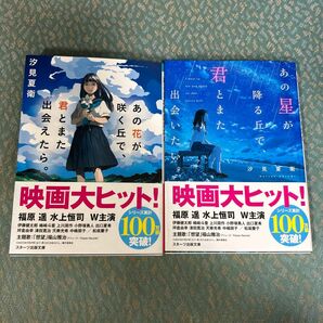 あの星が降る丘で、君とまた出会いたい。 （スターツ出版文庫　Ｓし１－５） 汐見夏衛／著