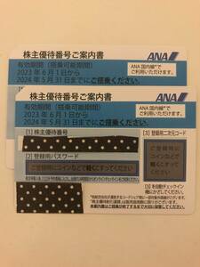 ANA株主優待券　２枚セット　送料無料　2024.5.31迄