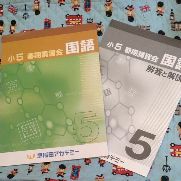早稲田アカデミー 夏期講習会 小5 最新版 最安値 値下げ 理社 本 学習ノート よくわかる国語の学習 国語　家庭学習　教材　春