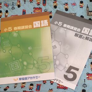 早稲田アカデミー 春期講習会 小5 最新版 最安値 値下げ 理社 本 学習ノート よくわかる国語の学習 国語 家庭学習 教材 春