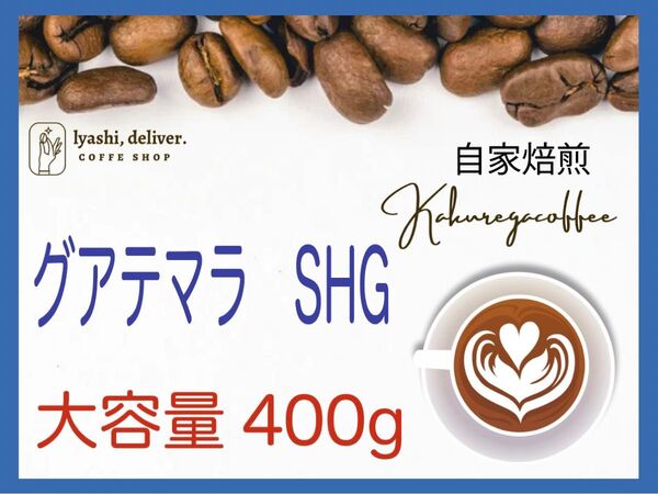 自家焙煎珈琲 グアテマラ SHG 大容量 400g
