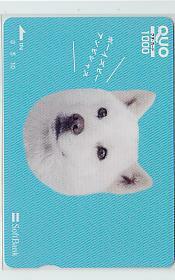 0-h233 ソフトバンク お父さん 白戸家 犬 イヌ クオカード 1000円券