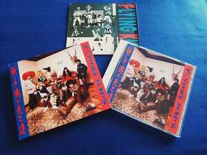 ☆美品☆ FLYING KIDS / 新しき魂の光と道 《初回限定盤 ステッカー 10種類付き スリーブ》 アルバム CD 全14曲 フライングキッズ 浜崎貴司