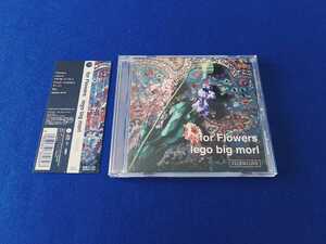 ★タワレコ限定　帯付!!★ lego big morl / for Flowers ディスク美品 ミニアルバム CD レゴ ビッグ モール カナタタケヒロ タワーレコード