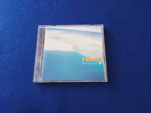 ☆ディスク美品☆ TUBE / ゆずれない夏 アルバム CD 全12曲 チューブ 前田亘輝 春畑道哉 角野秀行 松本玲二 【同梱可能　追跡番号あり】