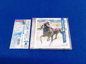 ☆良品　帯付!!☆ ハルウララの詩 ただ、ひたすらに / スターター吉田 ＆ 堀内佳 CD 競馬 馬 レース実況入り 【同梱可能　追跡番号あり】