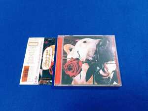 帯付!!★ フラワーカンパニーズ / フラカンのフェイクでいこう CD アルバム Flower Companyz フラカン 鈴木圭介 【同梱可能 追跡番号あり】