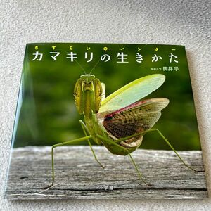 カマキリの生きかた(さすらいのハンター)本、絵本