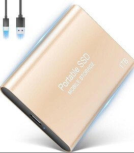 外付け SSD 1TB ポータブルSSD 高速転送 最大転送速度650MB/S　動作確認済