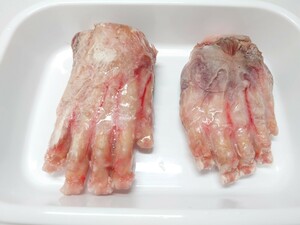 超超高級食材 ヒグマの右手足 熊の手 熊手 熊足 熊掌 熊肉　ひぐま 羆 中国料理 中華料理 食材 ジビエ ② 激レア ヒグマ クマ