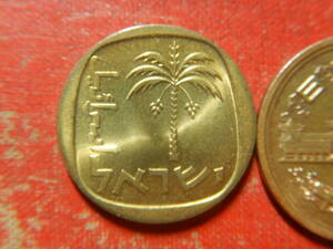 外国・イスラエル／１０アゴロット・アルミニウム青銅貨（1965年）　24031502