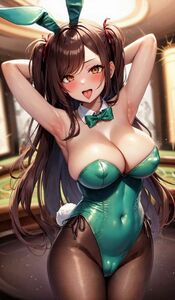 a108 A4サイズ 高品質ポスター アニメ 同人 イラスト セクシー 水着 下着 美女 巨乳 美少女 光沢紙