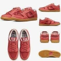 NIKE ナイキ SB DUNK LOW PRO プレミアム エンジ 27㎝ DV5429-600 24-0130-22-7 Adobe_画像2