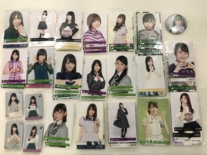 湘/アイドルカードまとめ/乃木坂46/欅坂46/生写真/タレントグッズ/湘1.26-193後