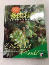 浜/育ててみたい美しい多肉植物/アレジメントと育て方/約160種類/勝地未子/日本文芸社/浜2.22-167田_画像1