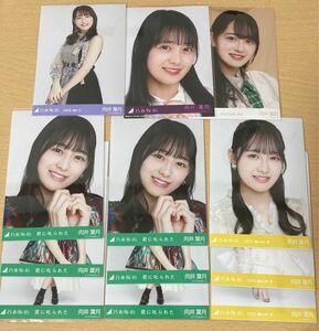 乃木坂46 向井葉月 生写真 まとめ売り