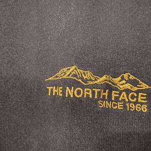 THE NORTH FACE ザ ノースフェイス アウトドア Tシャツ XL ワンポイント グラフィックティー 刺繍 両面 NT32334 キャンプ 釣り 登山の画像3