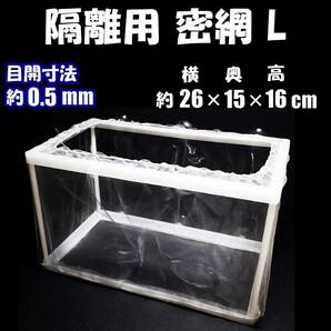 【送料無料】隔離用 密網 L 1個  新品 即決 水槽用品 繁殖箱（ネット） 産卵箱 組立式 シュリンプ・グッピー・メダカの隔離用にの画像1