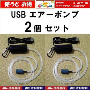 【送料無料】USB ポータブル エアーポンプ　2個　　カラビナ エアーストーン エアーチューブ付　即決　新品　水槽用や釣り用に使えます