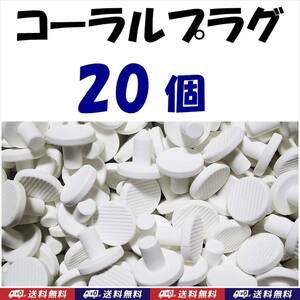 【送料無料】Φ23　コーラルプラグ　20個　Ｔ型　コーラルフラッグ　 海水魚　珊瑚 育成水槽に　サンゴ プラグ　セラミック