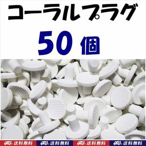 【送料無料】Φ23　コーラルプラグ　50個　Ｔ型　コーラルフラッグ　 海水魚　珊瑚 育成水槽に　サンゴ プラグ　セラミック