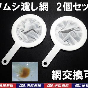 【送料込】ワムシ 分離網 2個セット  濾し網 ネット ブラインシュリンプ・ミジンコも掬えます メダカ飼育用品 水槽用品の画像1