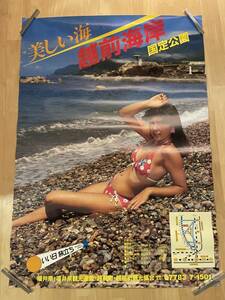 【402】美しい海 越前海岸 国定公園 観光PRポスター 水着 ビキニ 女優不明