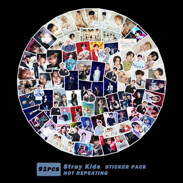 【91枚】Stray kids スキズ シールステッカー　フレークシール