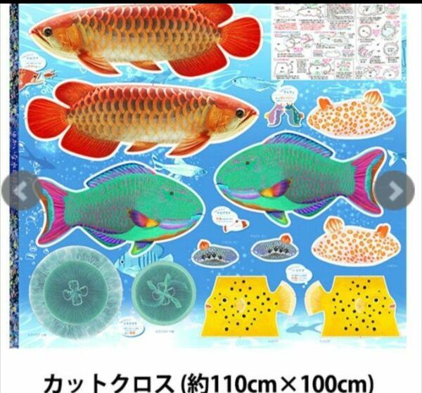 水の仲間たち パネル生地　リアルなお魚のポーチやぬいぐるみが作れる生地　クラゲ　デジタルプリント　シーチング