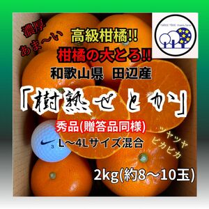 ①数量限定!和歌山県田辺産 せとか オレンジ みかん 蜜柑 柑橘 秀品2kg