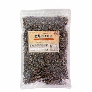  dry koorogi100g ( approximately 1000 pcs ~1200 pcs )i eko orogi meal for reptiles aquarium fish small animals birds. bait .