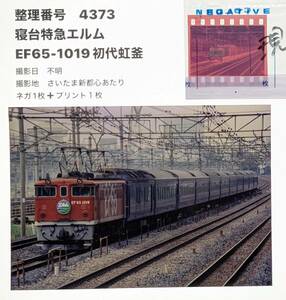 4373】「寝台特急エルム」EF65-1019初代虹釜　（ネガ＋プリント１枚）