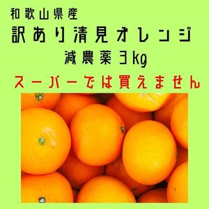 百貨店では買えない 甘すぎる B級 ほとんど無農薬 清見オレンジ 3kg 和歌山県産　きよみ