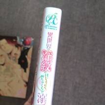 ■■3月発行■アンソロジー「異世界で淫紋が付いちゃったら、めちゃくちゃ溺愛されています！」■メロンブックス特典付■pomme_画像4