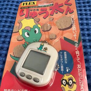 なき虫りゅう太くん　育成ゲーム