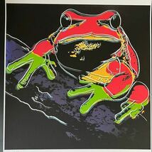 ★1点限り★ アンディウォーホル 『Pine Barrens Tree Frog』リトグラフ Andy warhol カエル 1983 obey リキテンスタイン_画像2