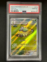 PSA 10　ハヤシガメ　AR　ポケモンカード　（CE2-083)_画像1