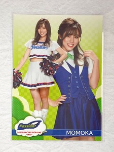 ☆ BBM プロ野球チアリーダーカード 2021 DANCING HEROINE 舞 舞72 Passion 東京ヤクルトスワローズ MOMOKA ☆