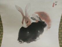 希少!!　竹内栖鳳 掛け軸【 うさぎ 宇佐枝　64.5×148cm 】長期保管在庫品 共木箱 印 銘あり 日本画 _画像3