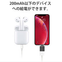 iPhone用 USBポート 変換アダプタ LightningオスtoUSBメス USB機器接続 OTG iPadライトニング データ転送 バックアップ Office PDFファイル_画像8