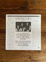 Raspberries「Raspberries」日本盤 再発盤 帯付 LP US Rock Power Pop パワーポップ ラズベリーズ エリック・カルメン_画像3