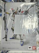 METAL BUILD ストライクフリーダムガンダム 開封品_画像8